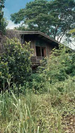 Haunted house 
