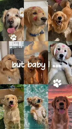 Pet - My Bestie✨