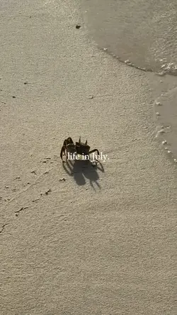 life in july 2025