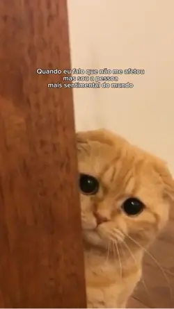 Não me afetou 