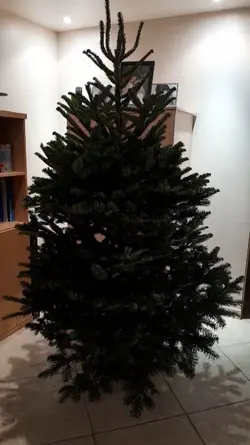 noël