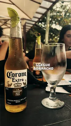 Llegué borracho 
