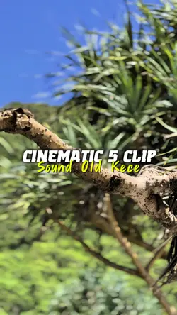 CINEMATIC 5 CLIP HD