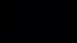 Elektronik gitar...