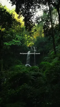 Nature sound
