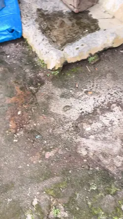 ya