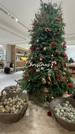 Christmas vlog