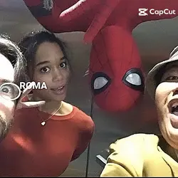 spiderr