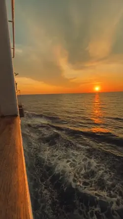 SUNSET VIBES