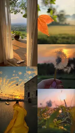 Mini vlog