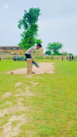 Cricket lover 
