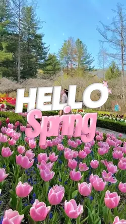 Hello Spring