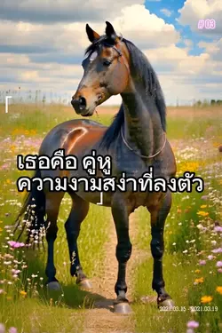 เธอคือคู่หู
