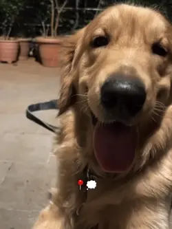 de você me lembro...