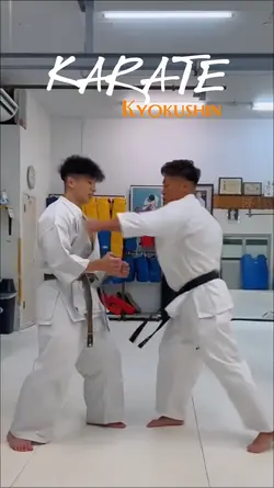 Karate kyokushin