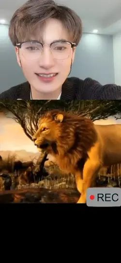 Gif