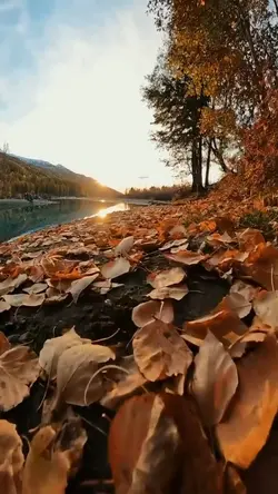 Adventures autumn