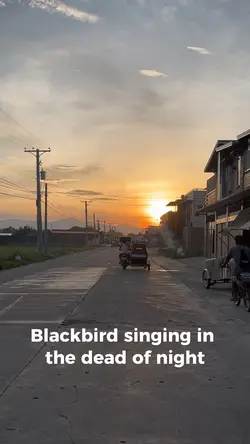 black bird