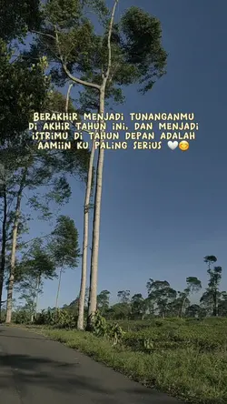 story wa 
