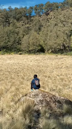 Sadvibes