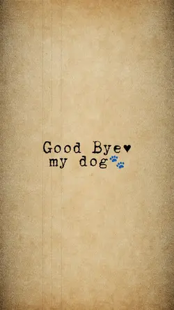 Good Bye My Dog 