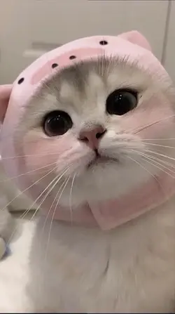 new trend