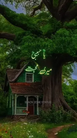 Arabic Love status