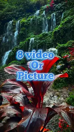 8 video new template