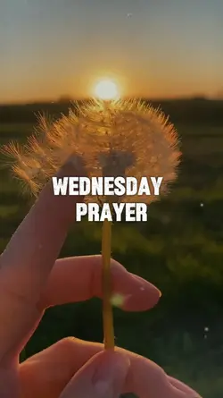 Wednesday Prayer