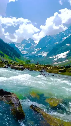 mountain view 
