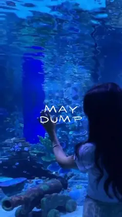 MAY DUMP