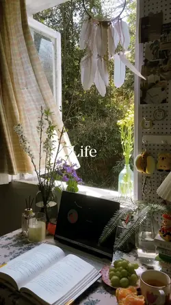 Life dump