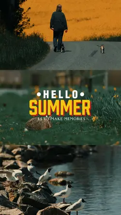 Welcome Summe