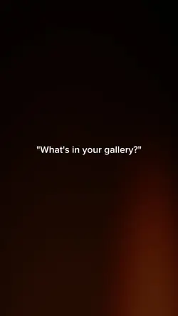 My Gallery