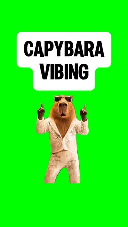 CAPYBARA VIBING 