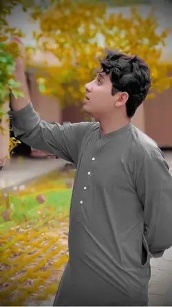 pashto song 
