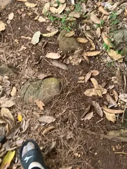 mulai jaman pir'aun