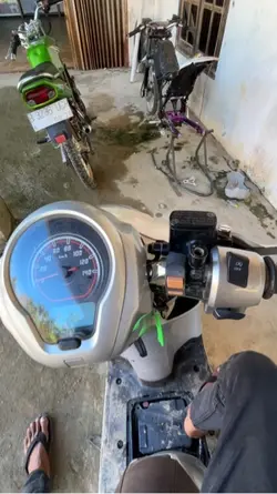 Ternak kawasaki