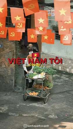 Việt Nam tôi cover
