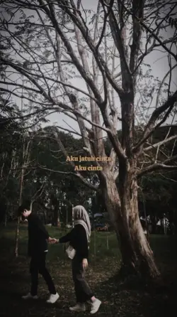 aku jatuh cinta 