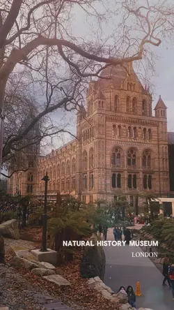 Exploring the Museum