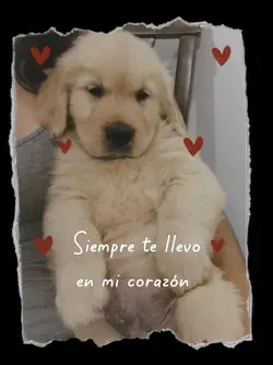 en mi corazón 