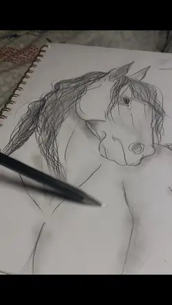 Drawing horse 🐎 