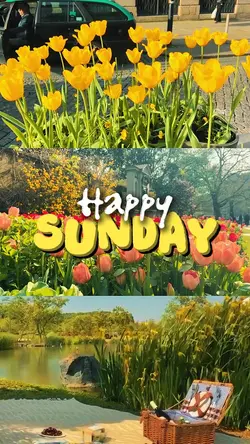 happy sunday