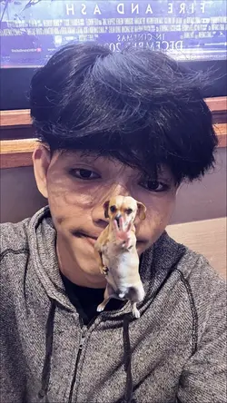 JJ EMOJI DOG JOGET