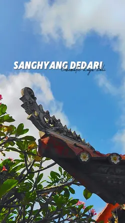 CINEMATIC BALI