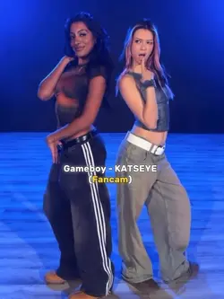 FANCAM