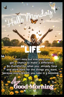 Hello Monday