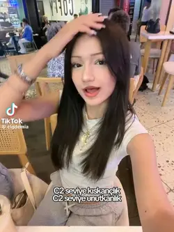 C2 seviye
