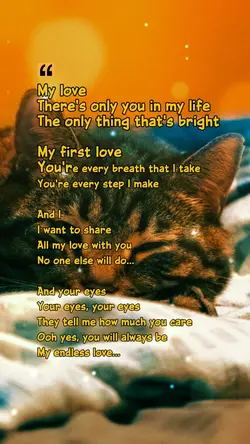 endless love 